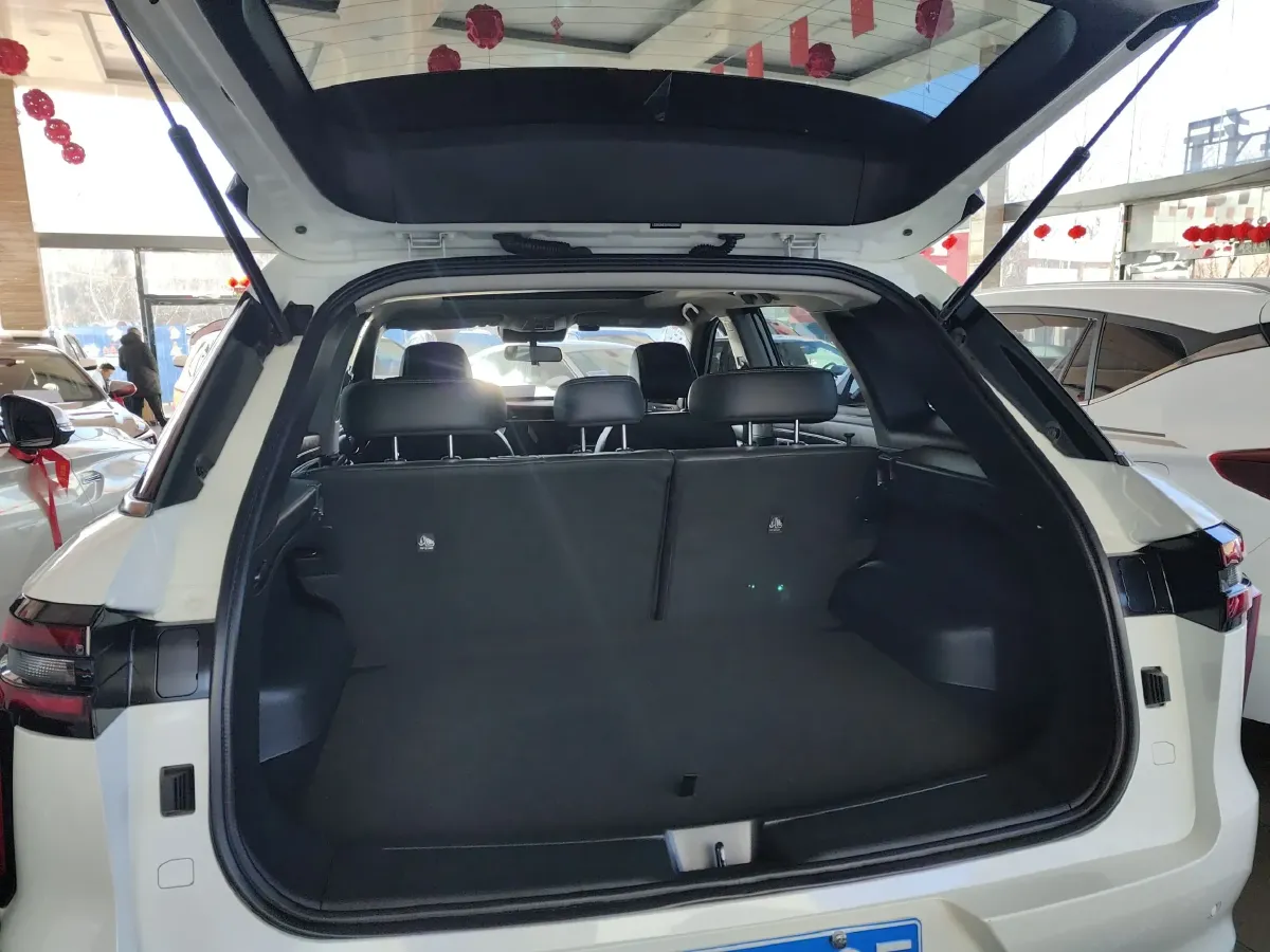 2021 Venucia Star 1.5T 190HP L4 7DCT,autocango,china used car exporter,china ev exporter,chinese used car exporter,chinese used ev exporter