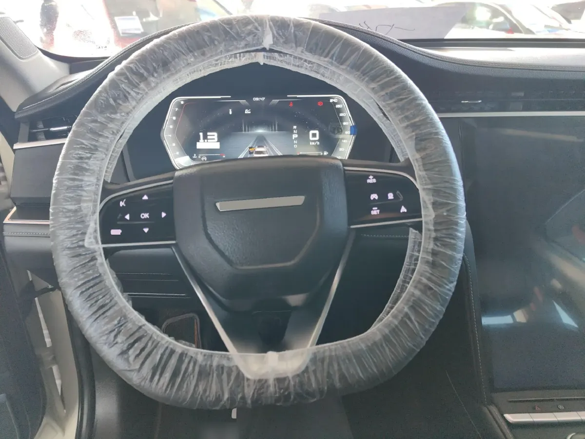 2021 Venucia Star 1.5T 190HP L4 7DCT,autocango,china used car exporter,china ev exporter,chinese used car exporter,chinese used ev exporter