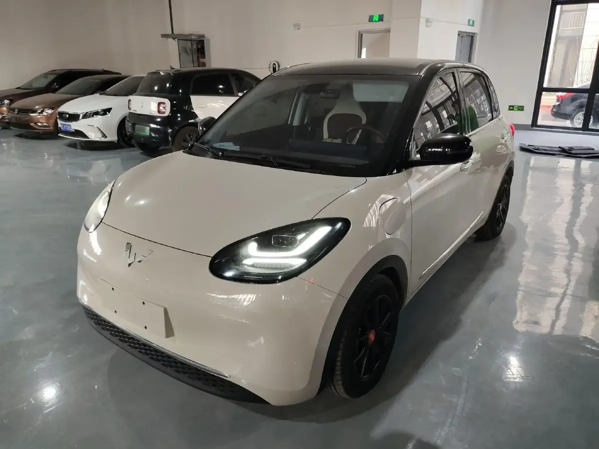 2023 WuLing BinGuo BEV 31.9KWH