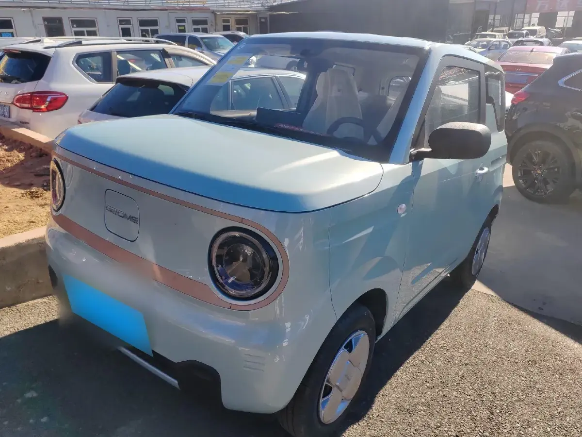 2024 Geely Panda BEV 17.03KWH