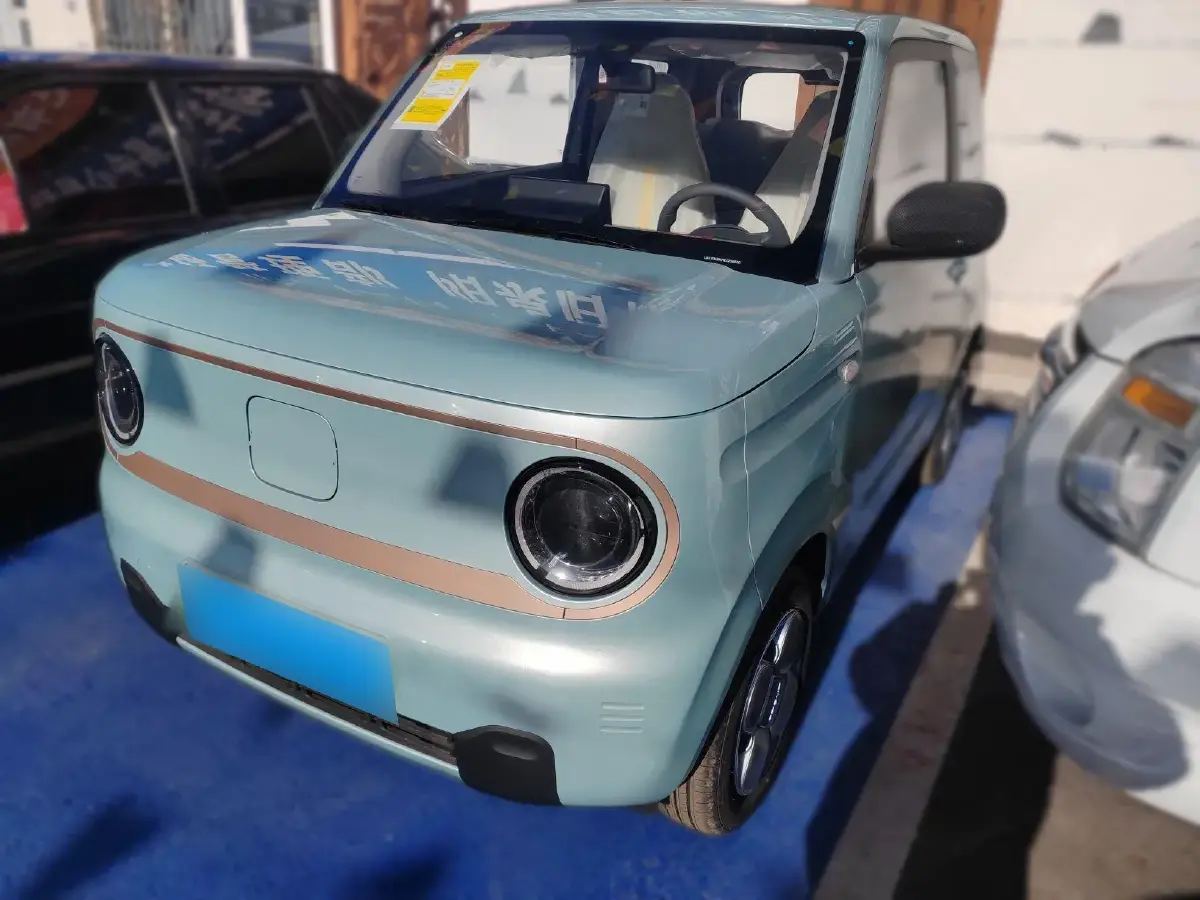 2024 Geely Panda BEV 17.03KWH