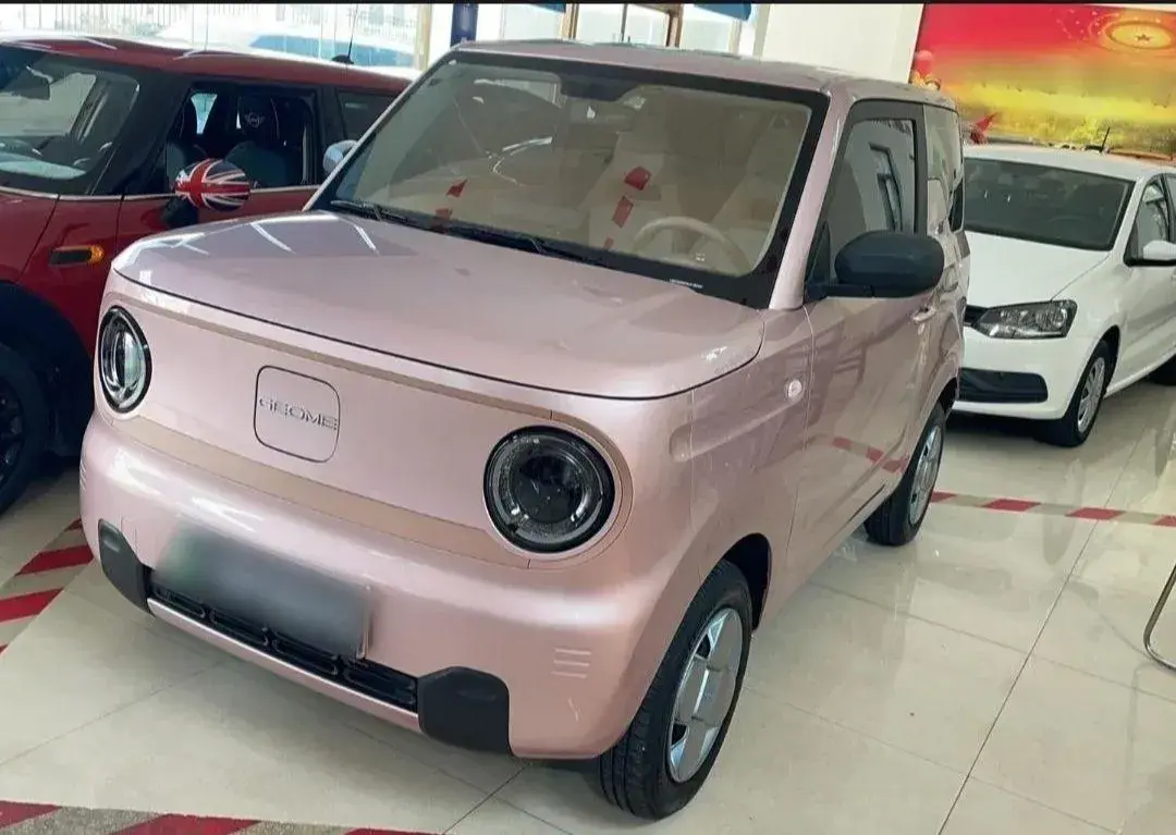 2024 Geely Panda BEV 17.03KWH