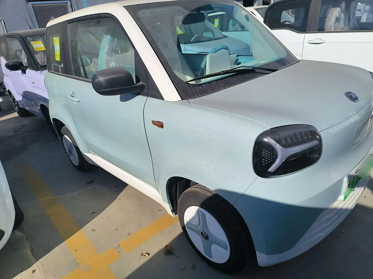 2024 ZD Rainbow BEV 17.3KWH,autocango,china used car exporter,china ev exporter,chinese used car exporter,chinese used ev exporter