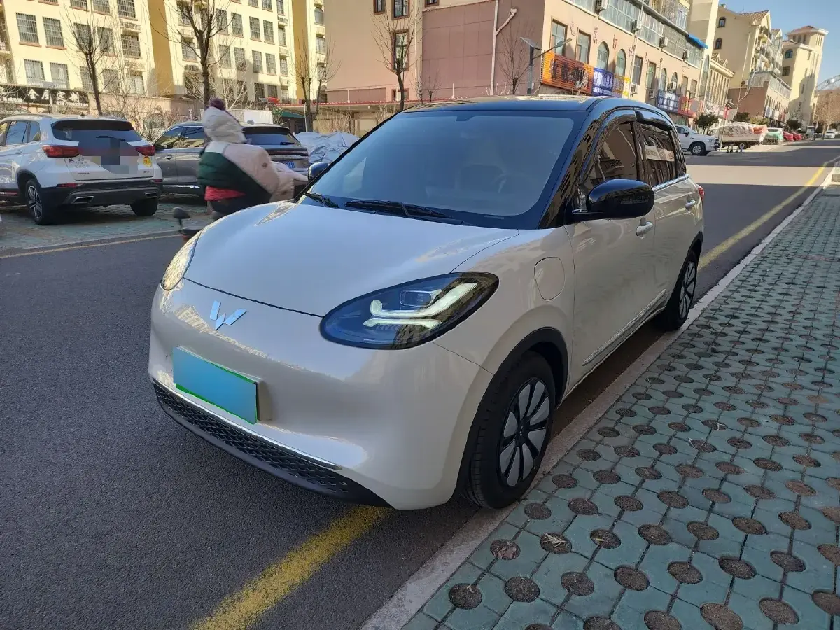 2024 WuLing BinGuo BEV 31.9KWH