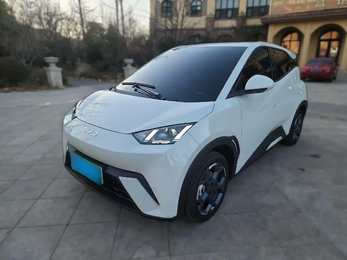 2025 BYD Seagull BEV 30.08KWH