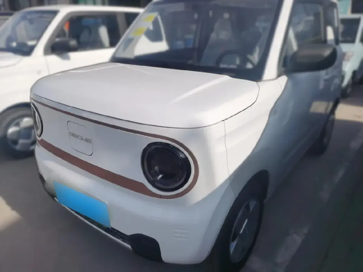2024 Geely Panda BEV 17.03KWH