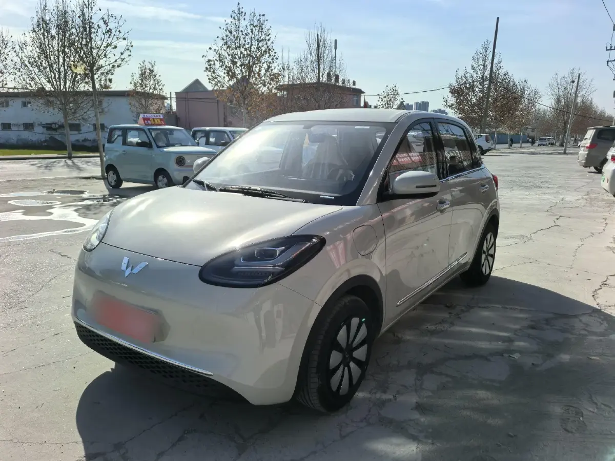 2024 WuLing BinGuo BEV 31.9KWH