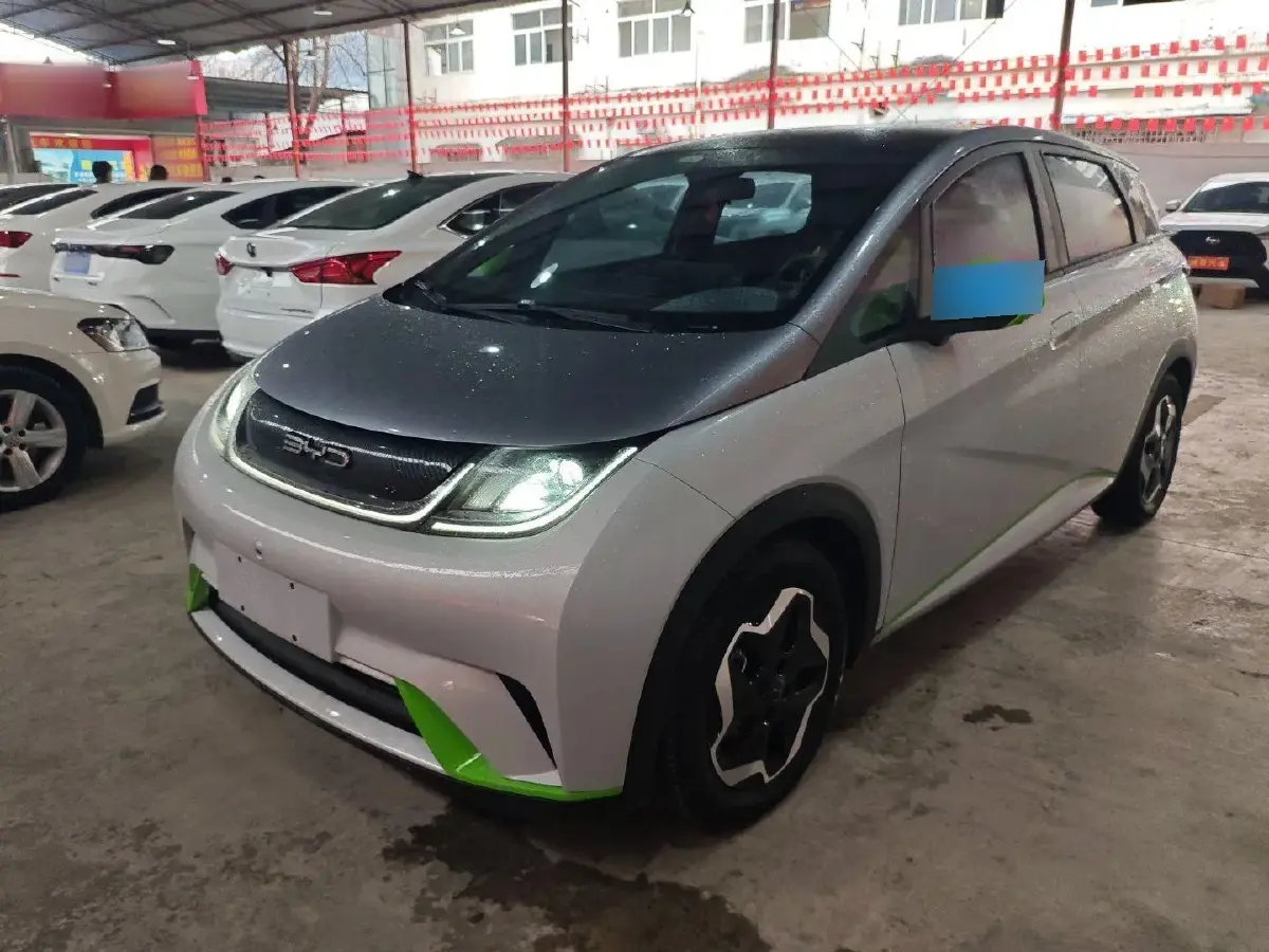 2021 BYD Dolphin BEV 44.9KWH