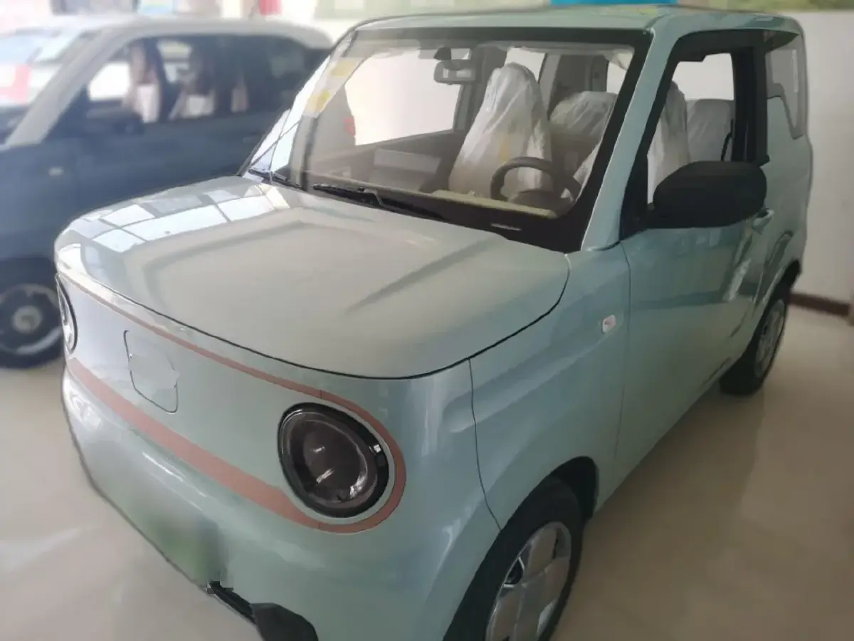 2024 Geely Panda BEV 17.03KWH