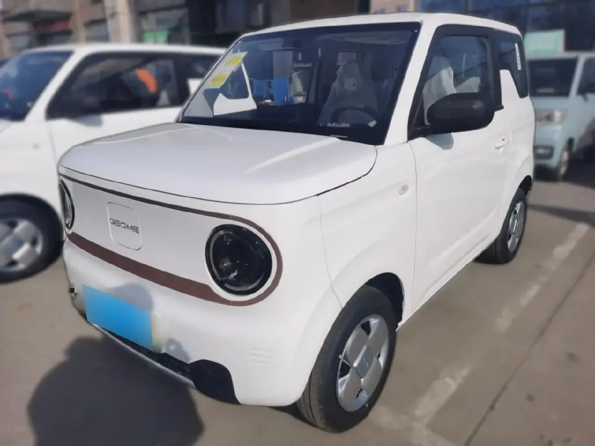 2024 Geely Panda BEV 17.03KWH