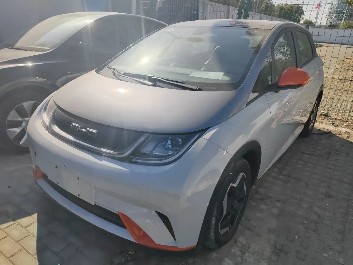 2021 BYD Dolphin BEV 44.9KWH