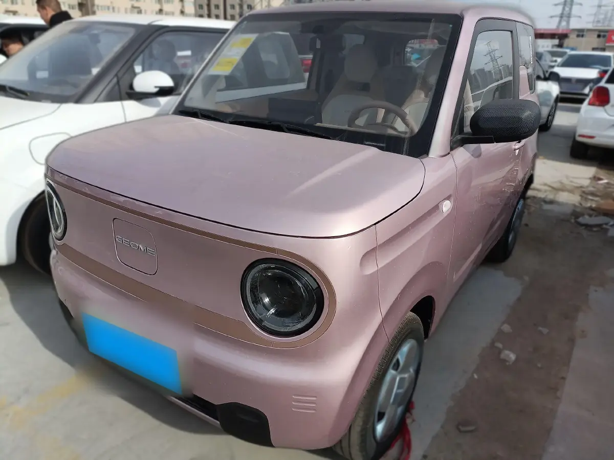 2024 Geely Panda BEV 17.03KWH
