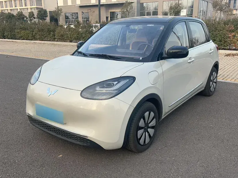 2024 WuLing BinGuo BEV 31.9KWH