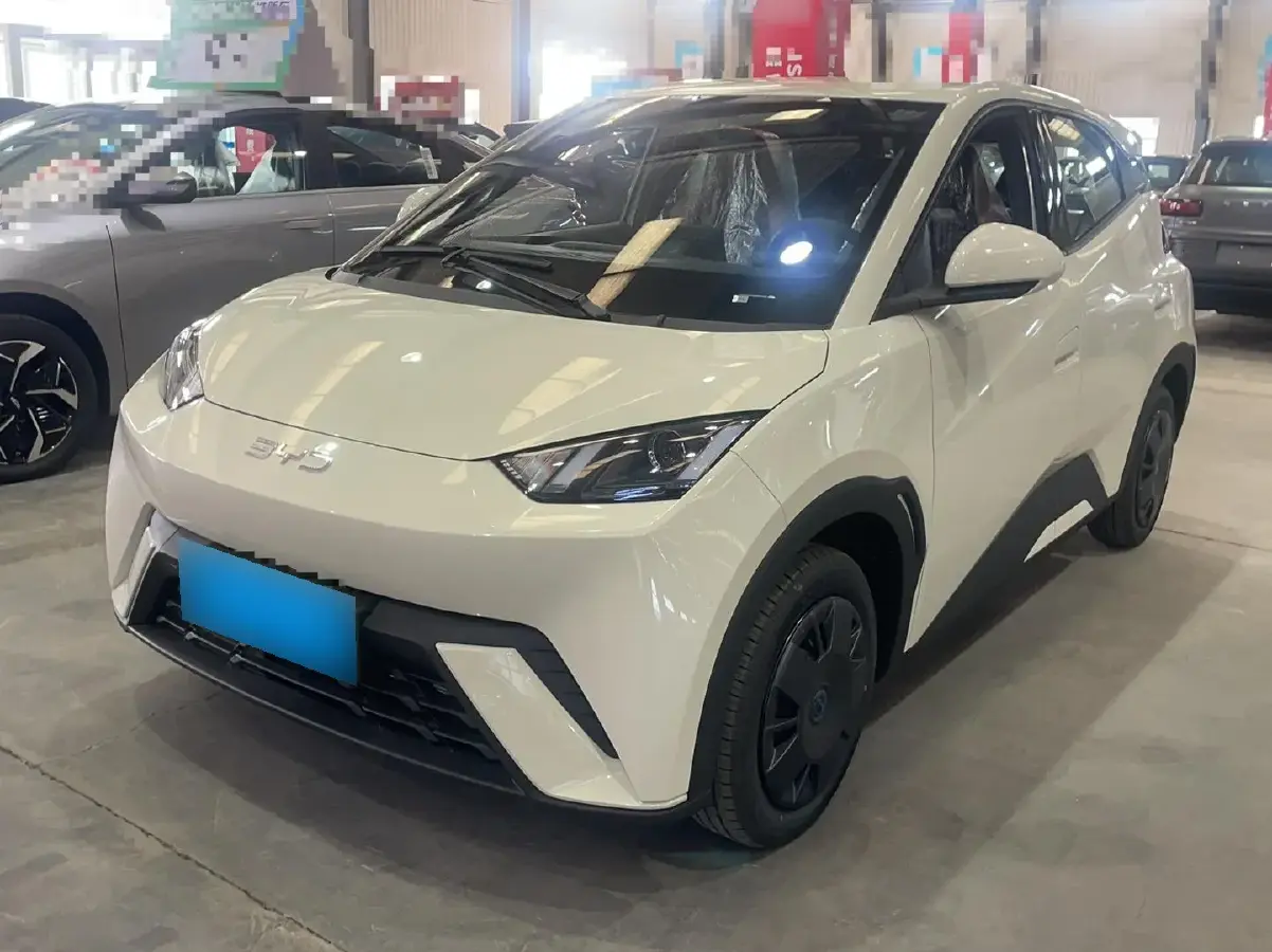 2025 BYD Seagull BEV 30.08KWH