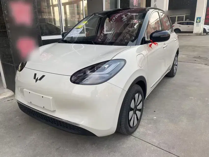 2024 WuLing BinGuo BEV 31.9KWH
