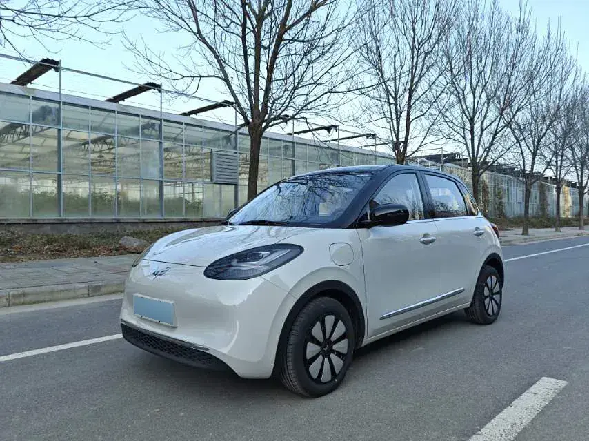 2024 WuLing BinGuo BEV 31.9KWH