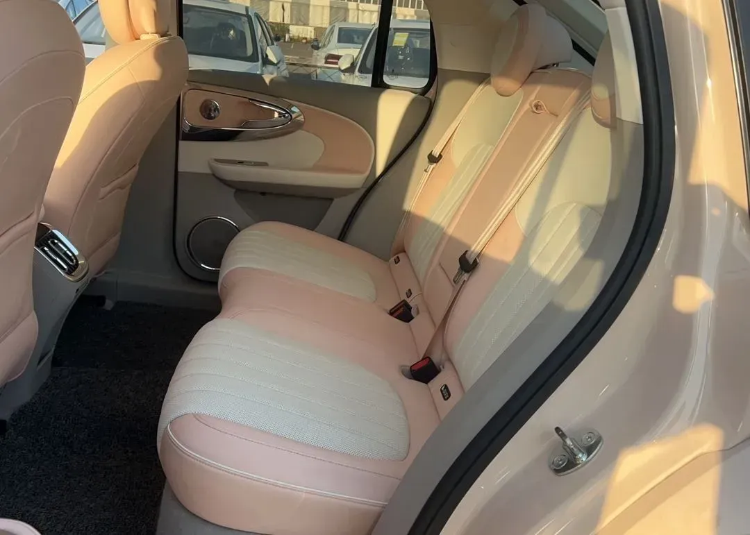 2022 Ora BalletCat BEV 49.92KWH,autocango,china used car exporter,china ev exporter,chinese used car exporter,chinese used ev exporter