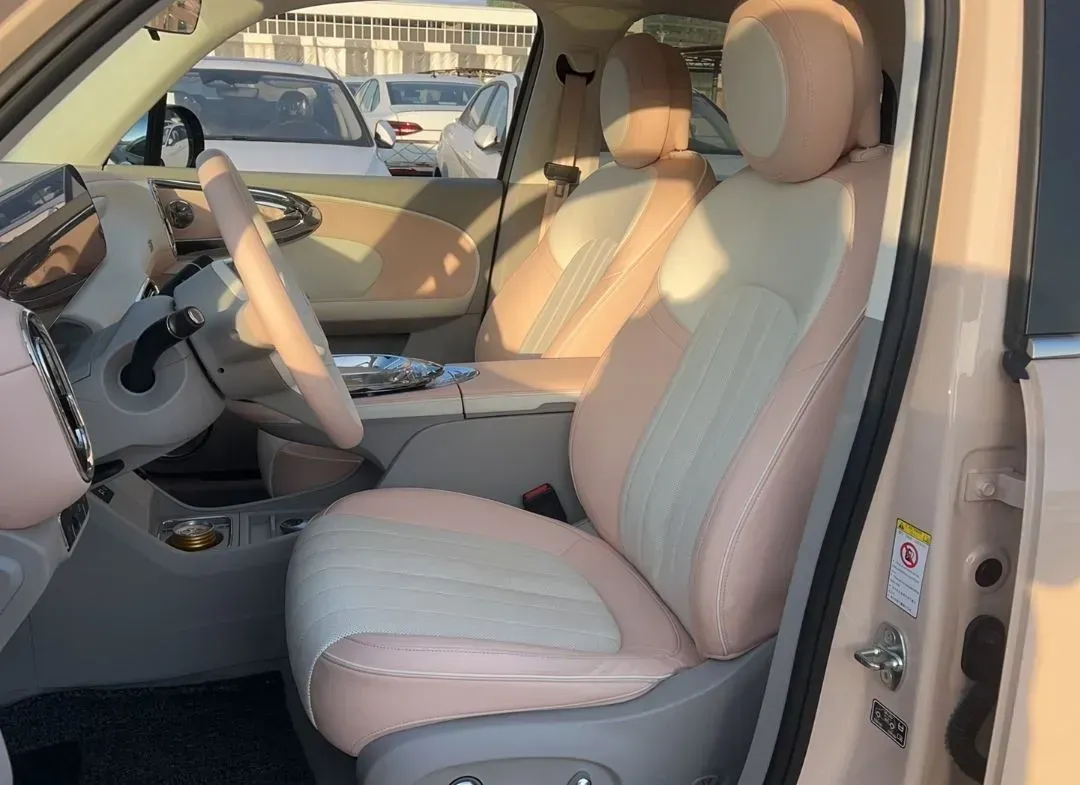 2022 Ora BalletCat BEV 49.92KWH,autocango,china used car exporter,china ev exporter,chinese used car exporter,chinese used ev exporter