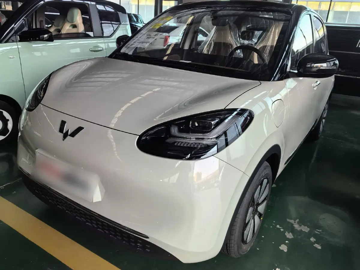 2024 WuLing BinGuo BEV 31.9KWH