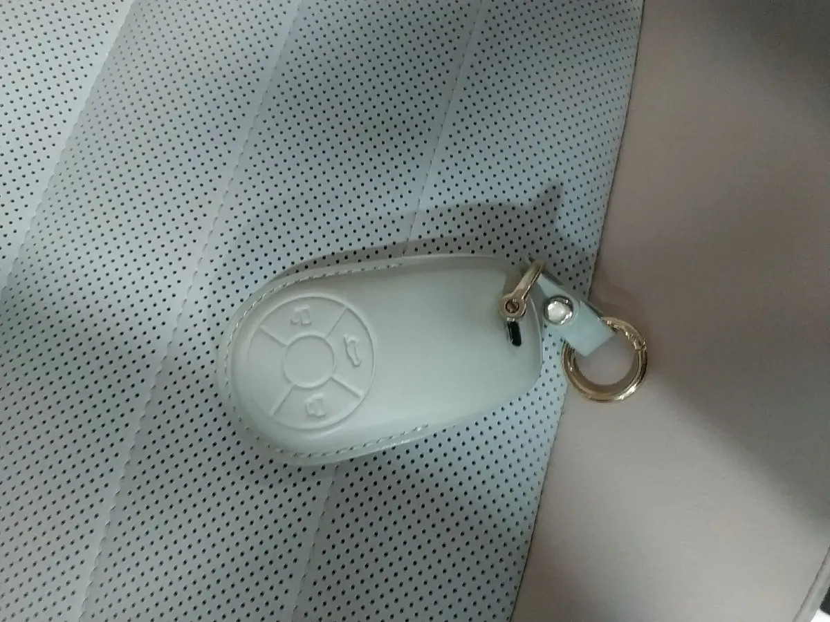 2022 Ora BalletCat BEV 60.5KWH,autocango,china used car exporter,china ev exporter,chinese used car exporter,chinese used ev exporter