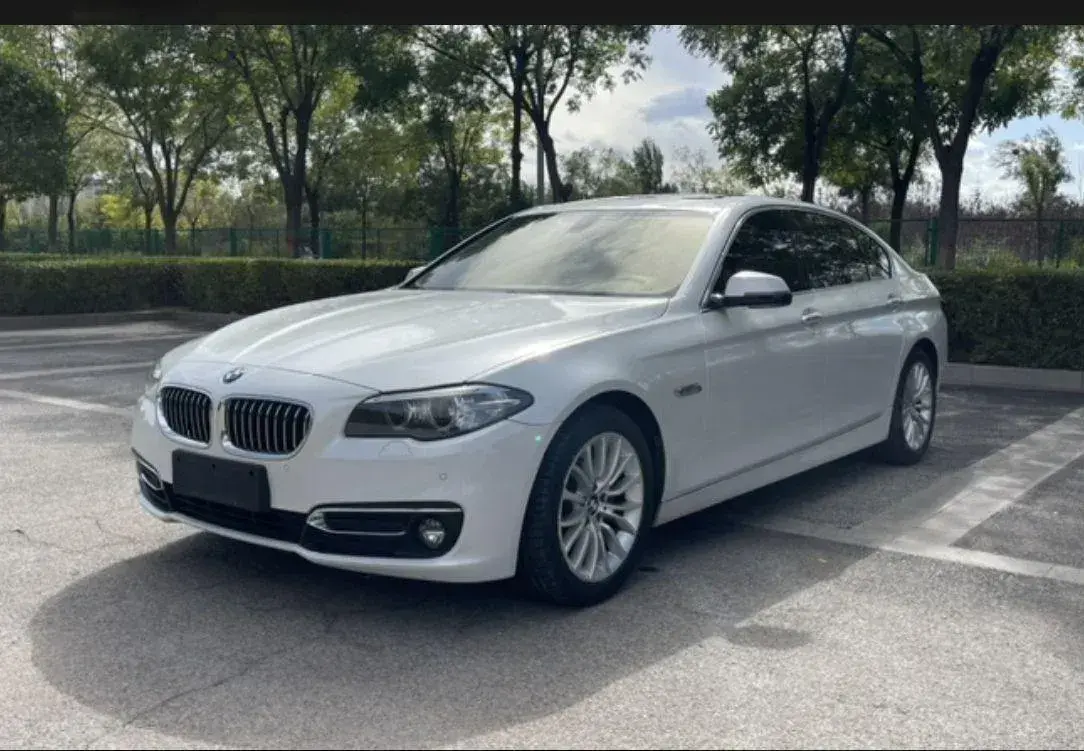2017 BMW 5 Series 2.0T 218HP L4 8AT
