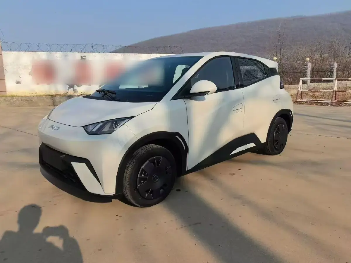 2025 BYD Seagull BEV 30.08KWH