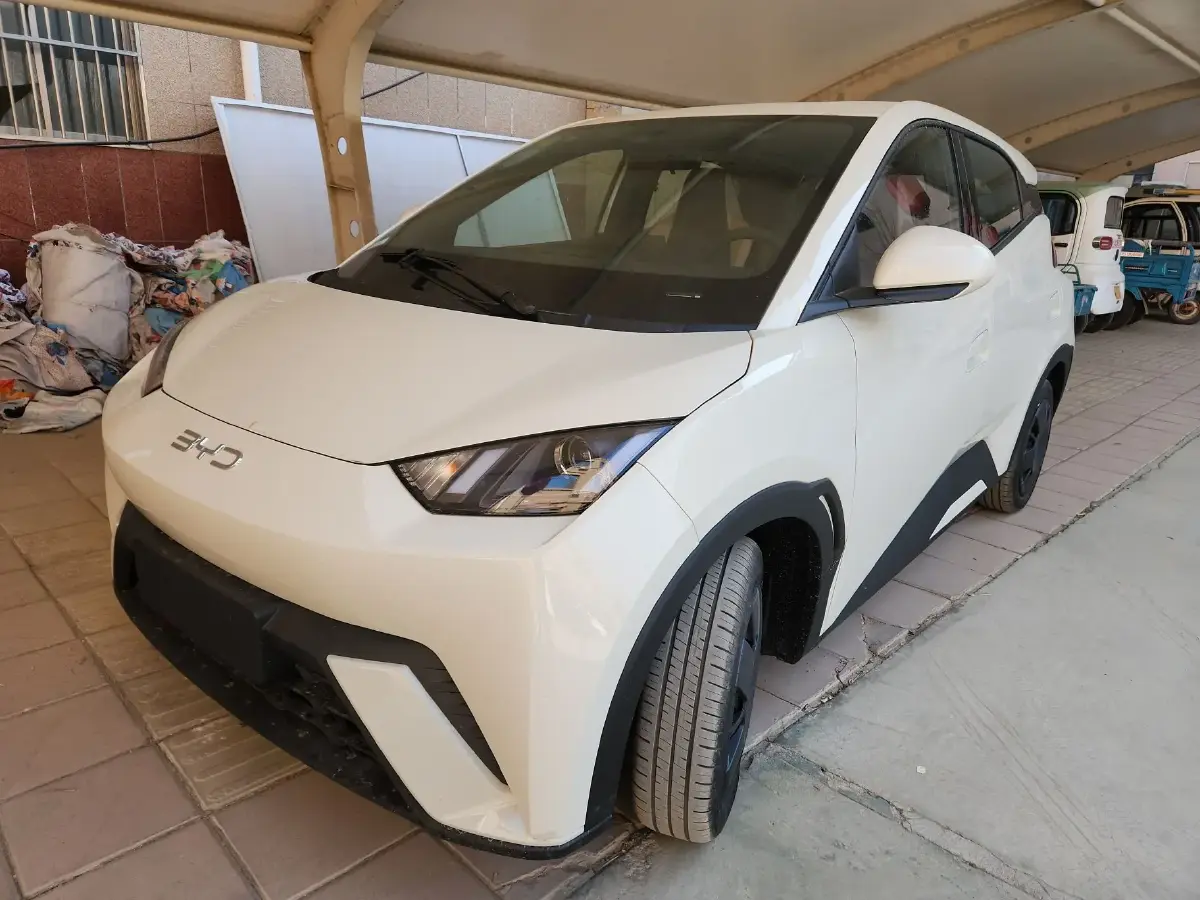 2024 BYD Seagull BEV 30.08KWH