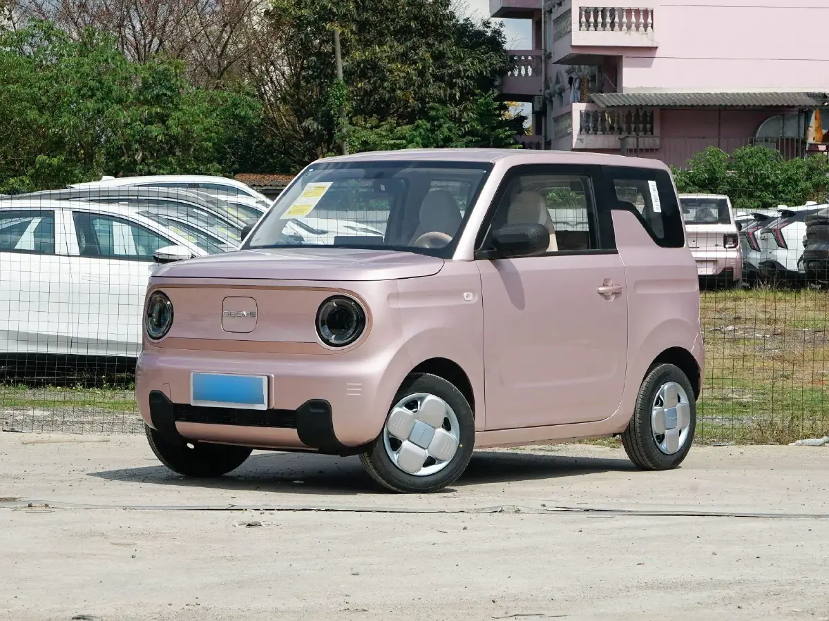 2024 Geely Panda BEV 17.03KWH