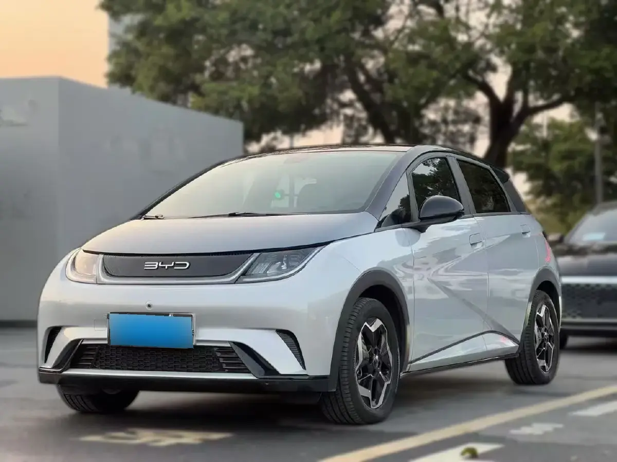 2021 BYD Dolphin BEV 44.9KWH