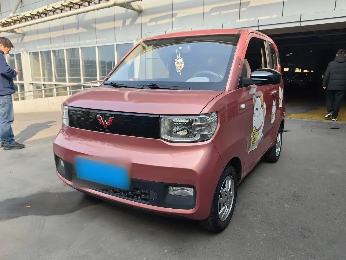 2020 WuLing HongGuang MINI EV BEV 9KWH