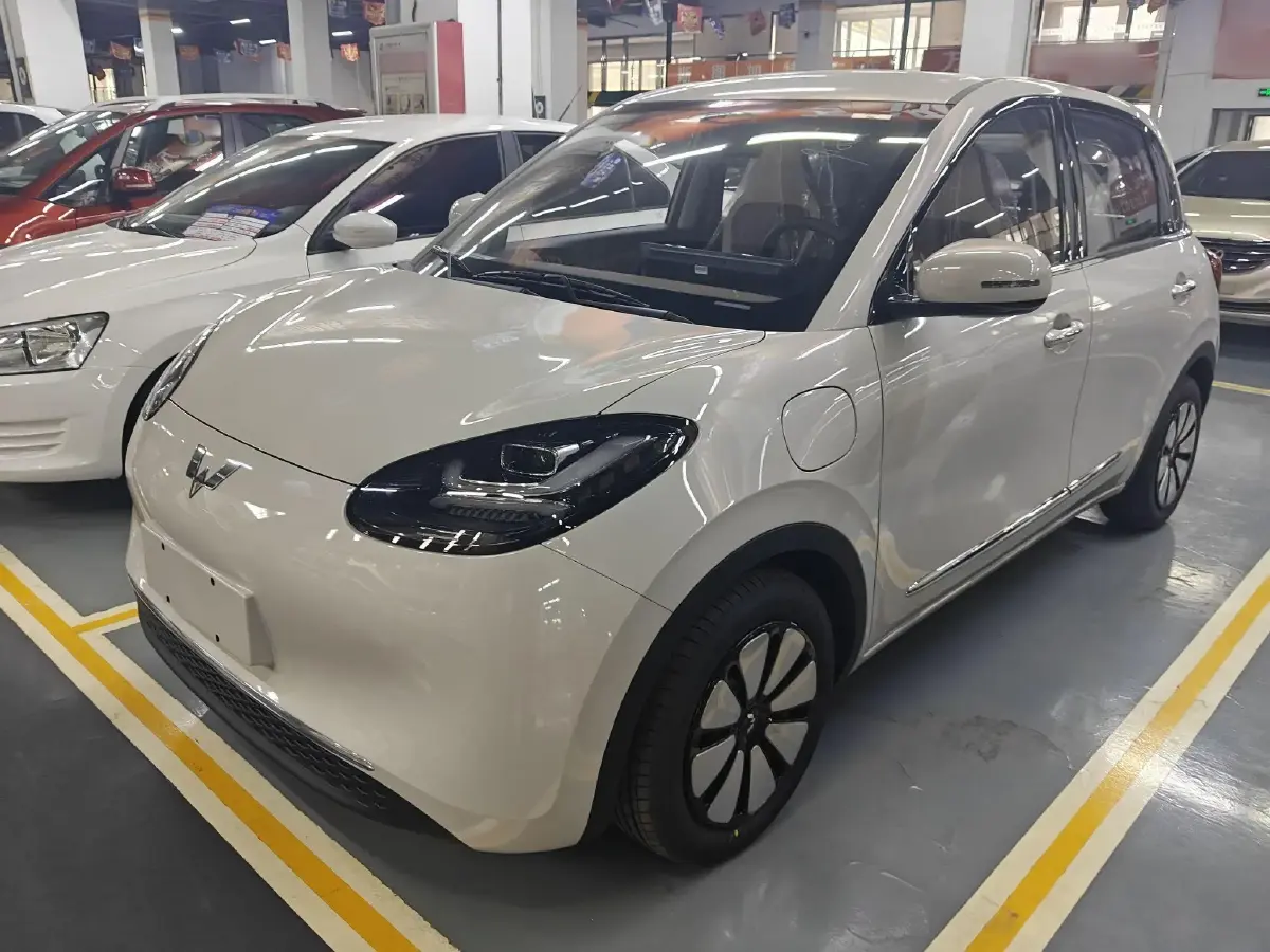 2024 WuLing BinGuo BEV 31.9KWH