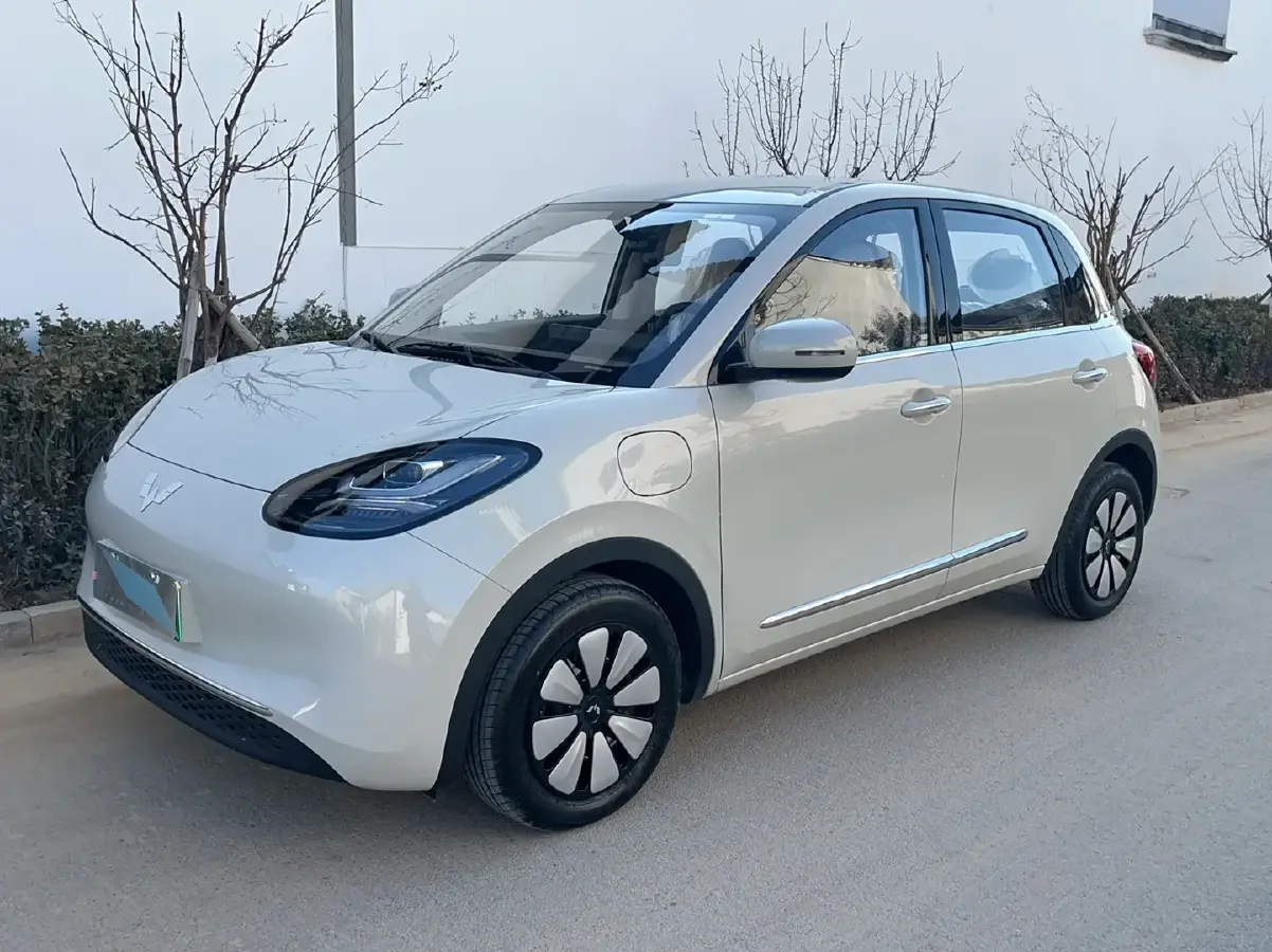2024 WuLing BinGuo BEV 31.9KWH