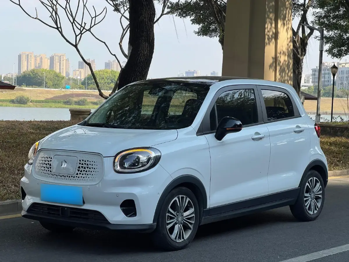 2020 Leapmotor T03 BEV 38KWH