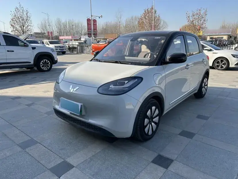2023 WuLing BinGuo BEV 31.9KWH