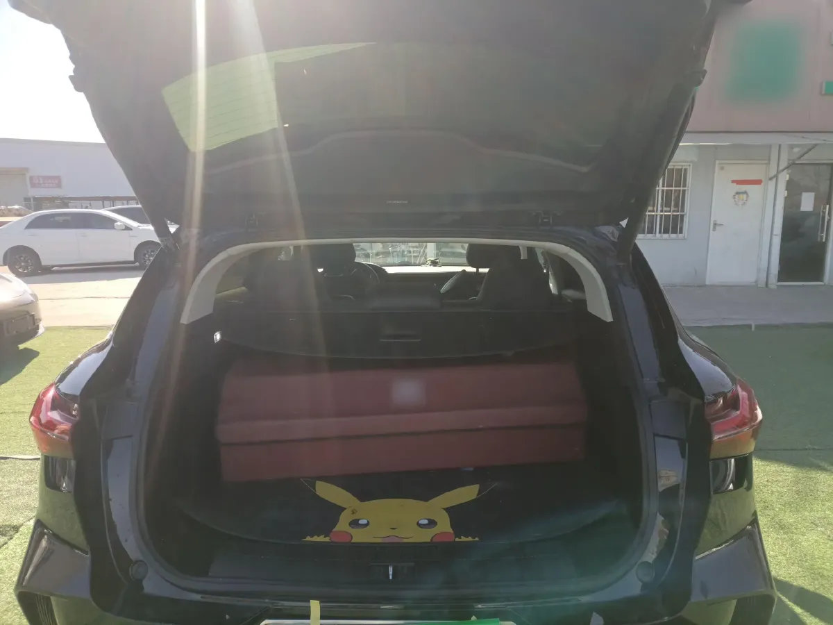 2021 Rising Auto MARVEL R 2AT BEV 69.9KWH,autocango,china used car exporter,china ev exporter,chinese used car exporter,chinese used ev exporter