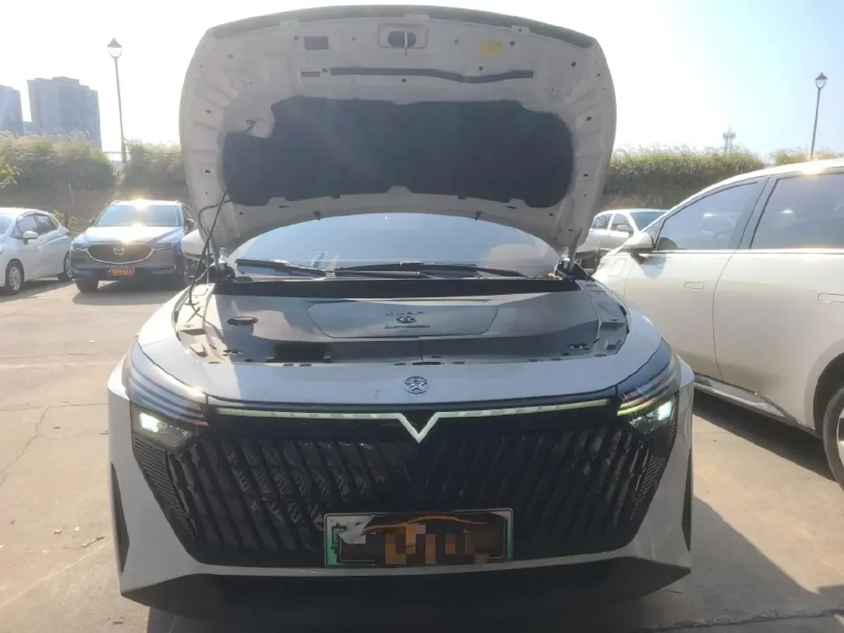 2023 Venucia Grand V DD-i 1.5T 163HP L4 E-CVT PHEV 18.4KWH,autocango,china used car exporter,china ev exporter,chinese used car exporter,chinese used ev exporter