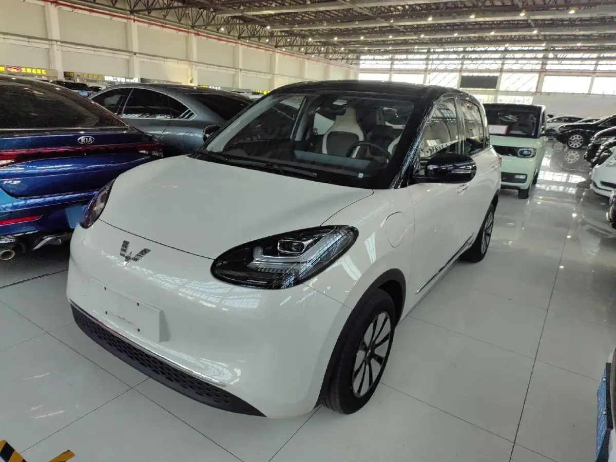 2023 WuLing BinGuo BEV 37.9KWH