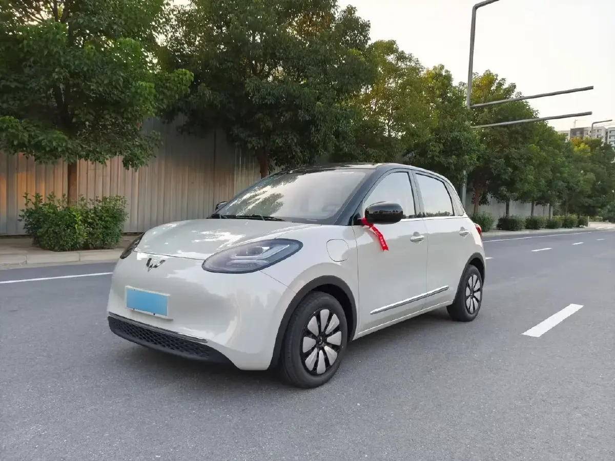2024 WuLing BinGuo BEV 31.9KWH
