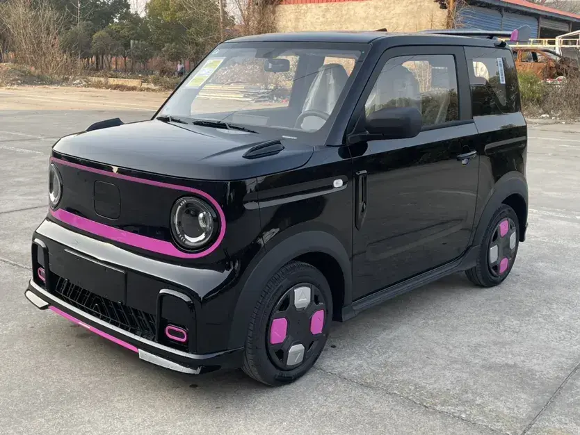 2025 Geely Panda BEV 17.03KWH