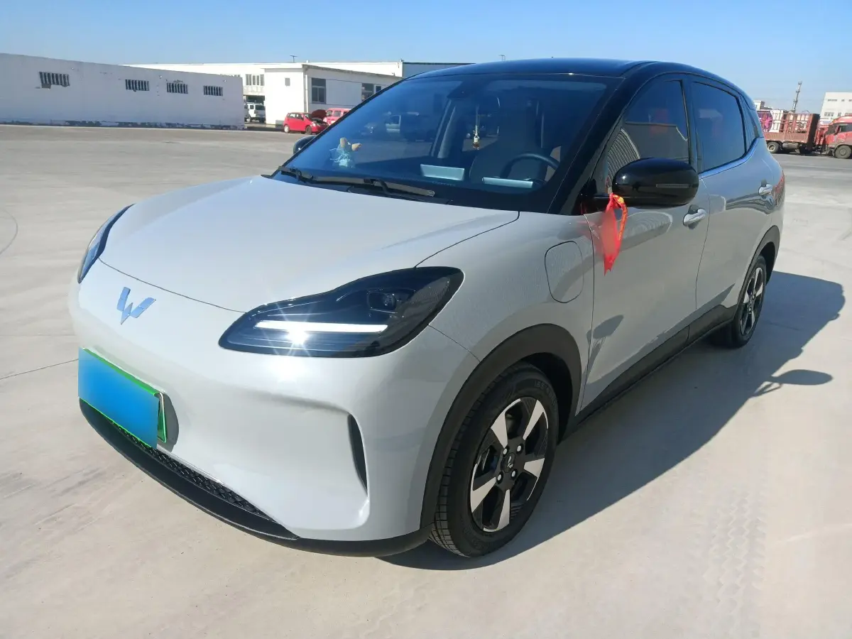 2024 WuLing BinGuoPLUS BEV 50.6KWH