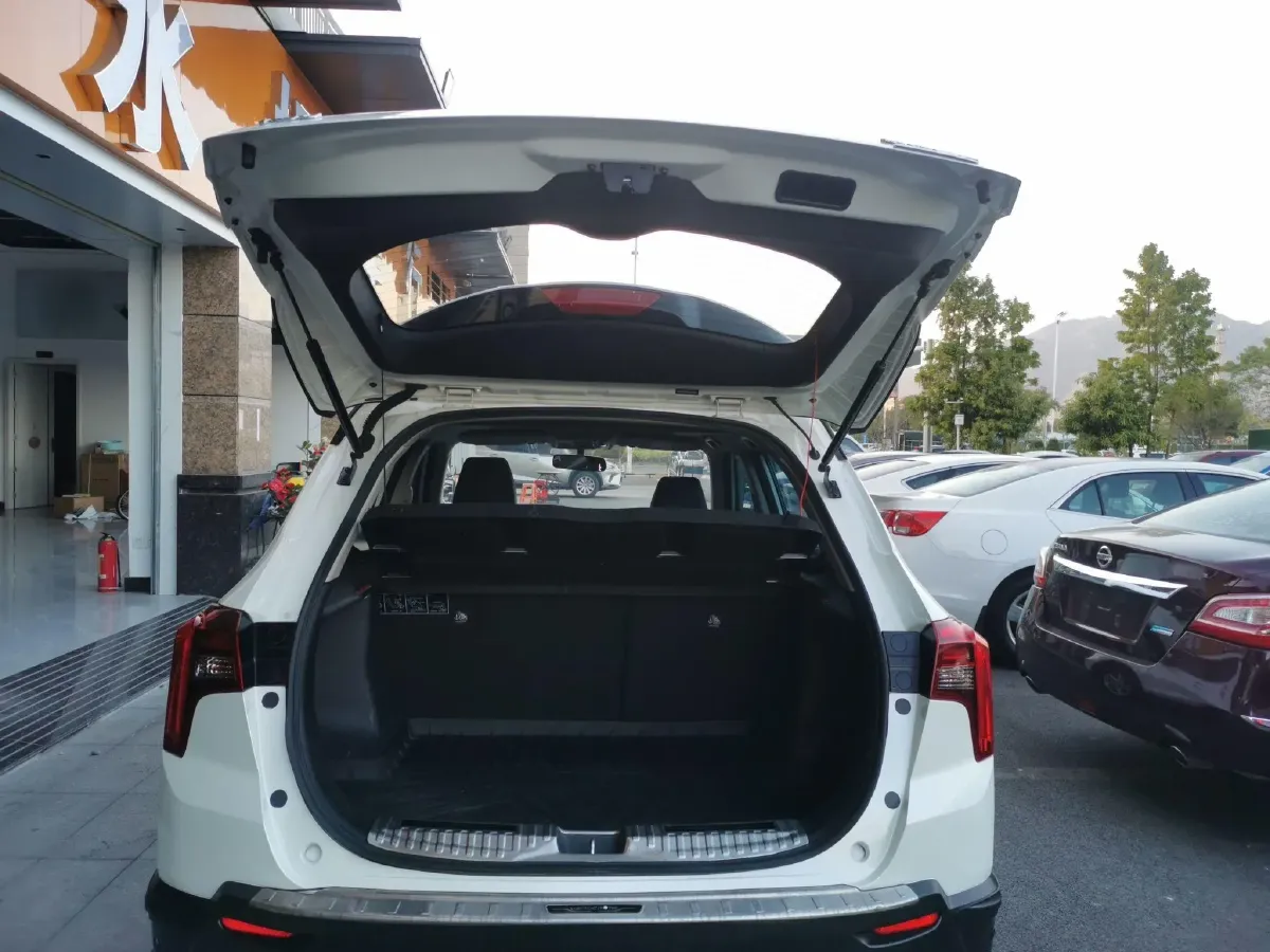 2020 Venucia T60 1.6L 126HP L4 CVT,autocango,china used car exporter,china ev exporter,chinese used car exporter,chinese used ev exporter