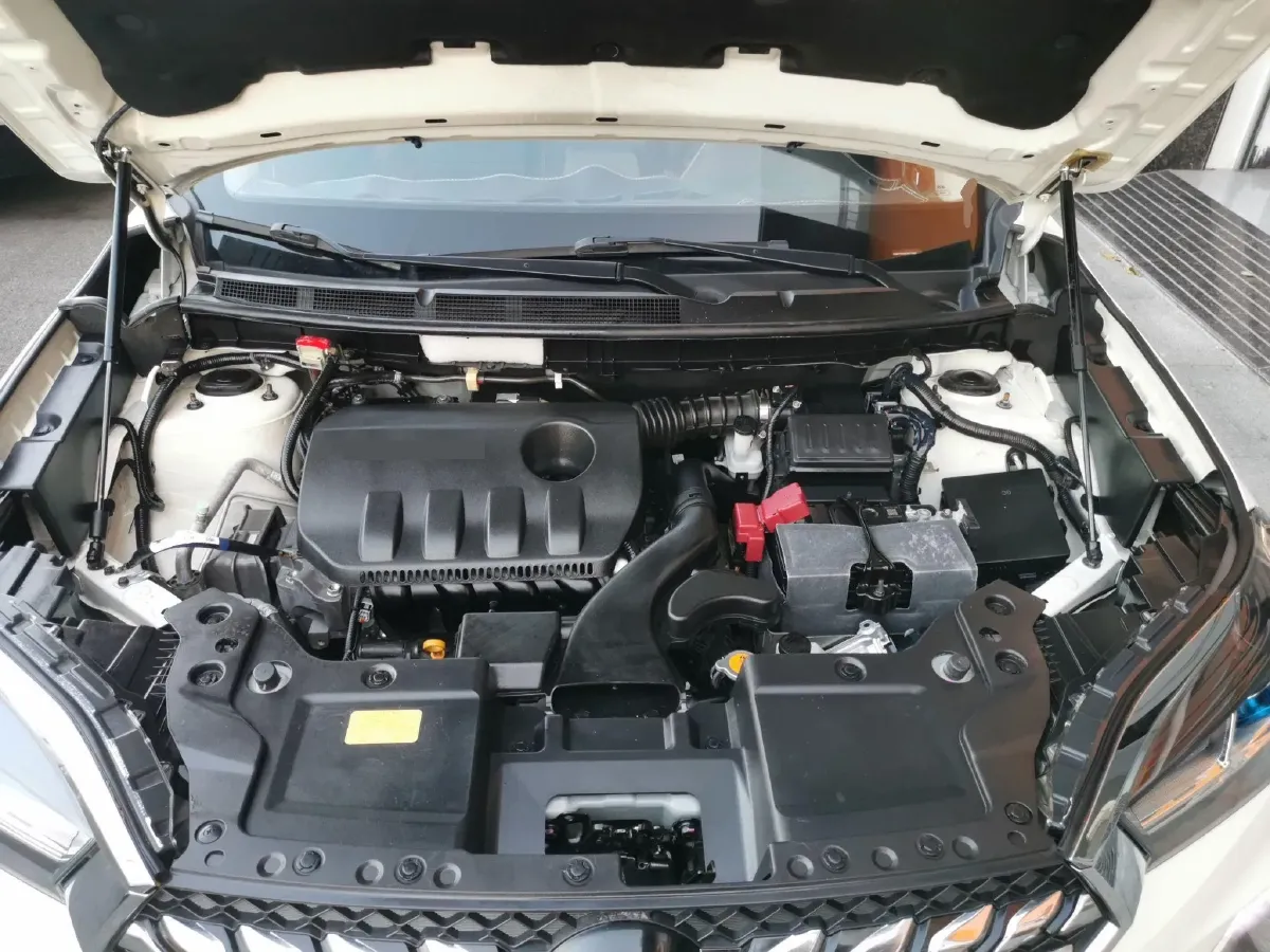 2020 Venucia T60 1.6L 126HP L4 CVT,autocango,china used car exporter,china ev exporter,chinese used car exporter,chinese used ev exporter