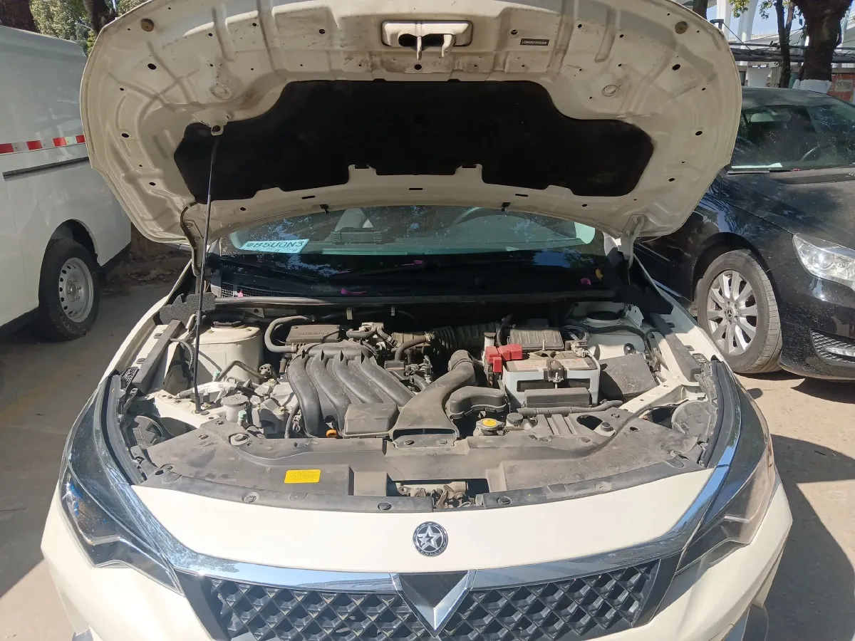 2021 Venucia D60 1.6L 122HP L4 CVT,autocango,china used car exporter,china ev exporter,chinese used car exporter,chinese used ev exporter