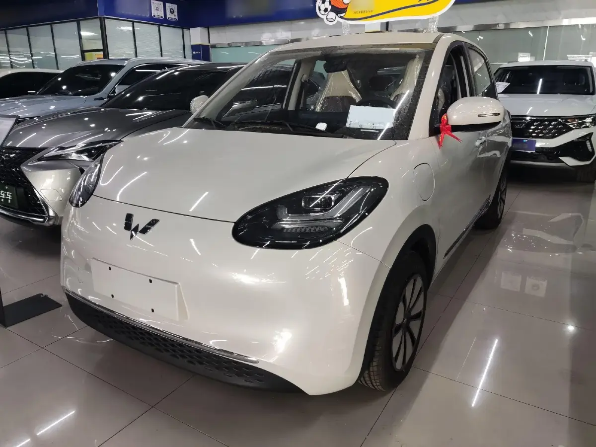 2024 WuLing BinGuo BEV 31.9KWH