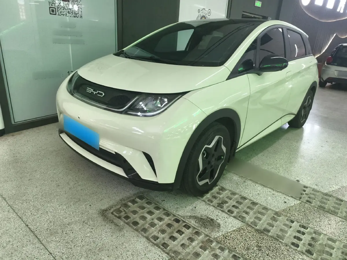 2021 BYD Dolphin BEV 44.9KWH
