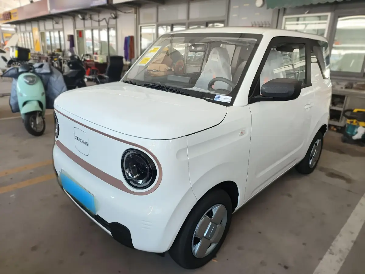 2024 Geely Panda BEV 17.03KWH
