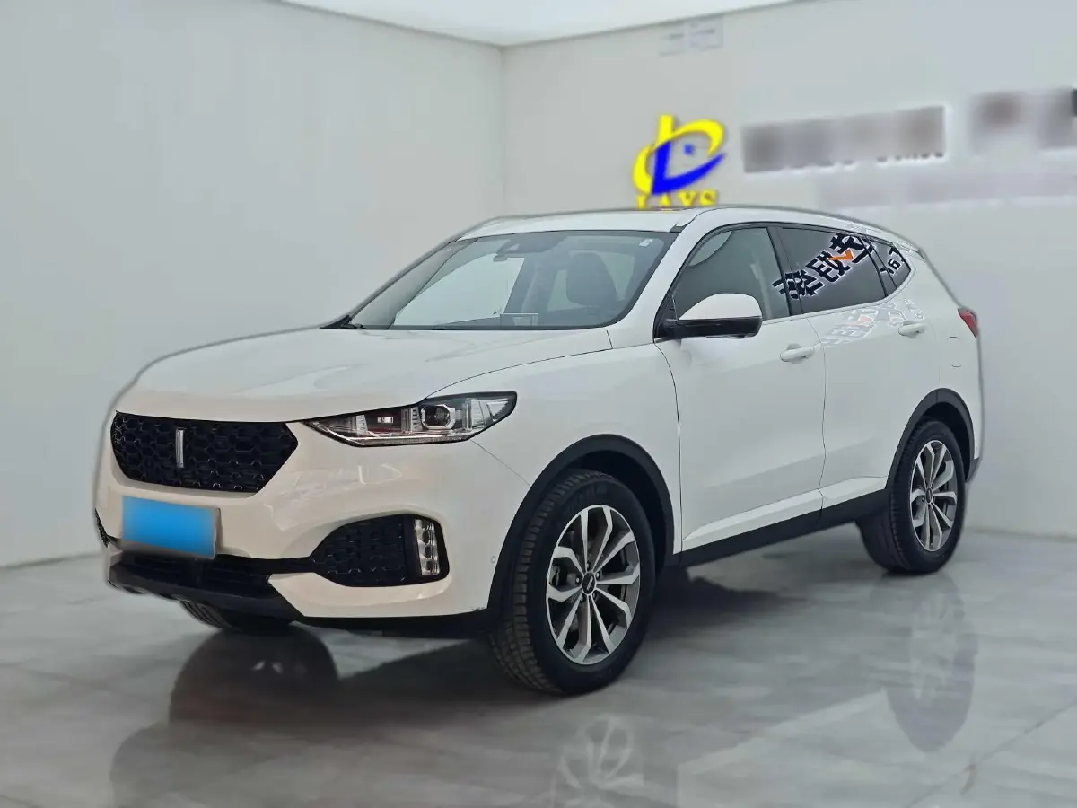 2019 WEY VV6 2.0T 224HP L4 7DCT