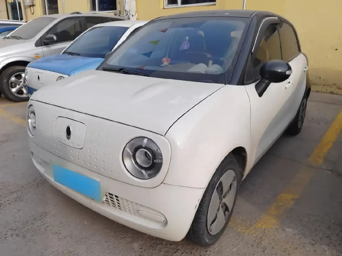 2019 Ora BlackCat BEV 28.5KWH