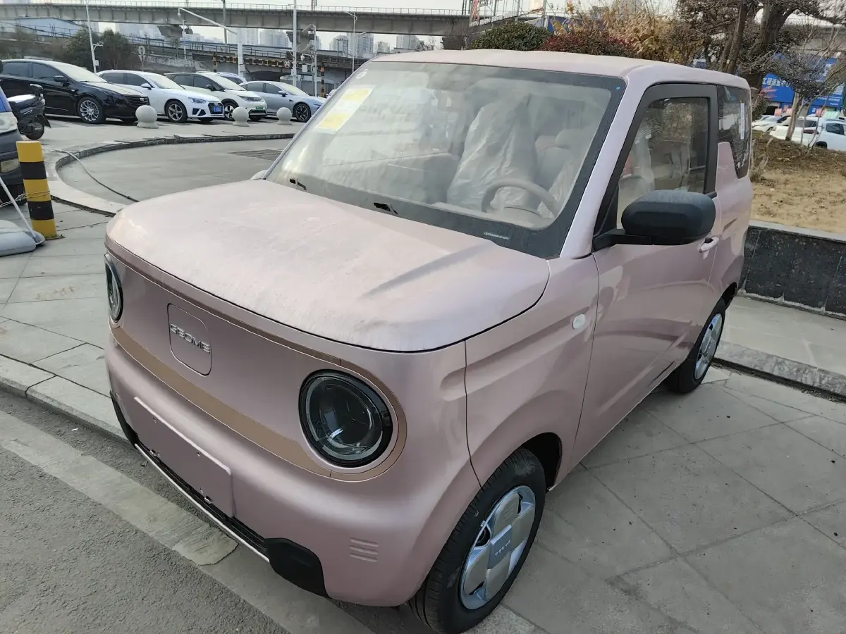 2024 Geely Panda BEV 17.03KWH