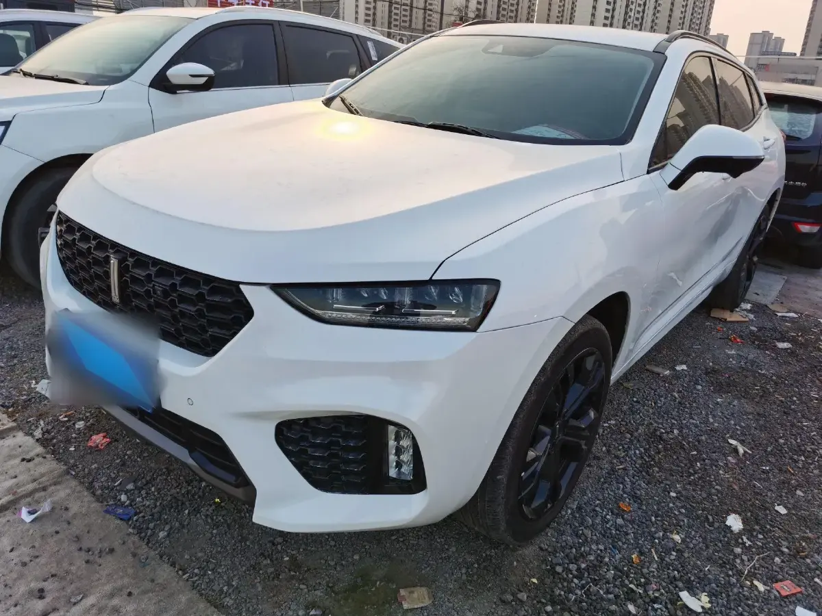 2019 WEY VV7 2.0T 234HP L4 7DCT